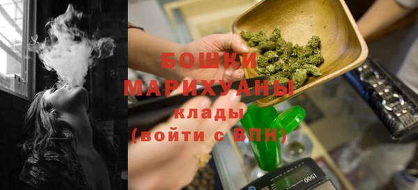 стафф Семилуки