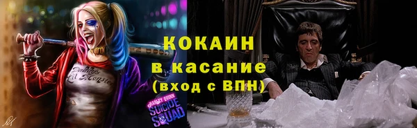 индика Семикаракорск