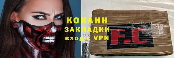 индика Семикаракорск