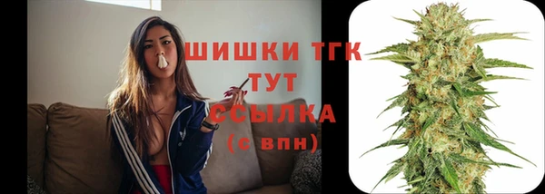 дмт Семёнов
