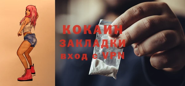 стафф Семилуки