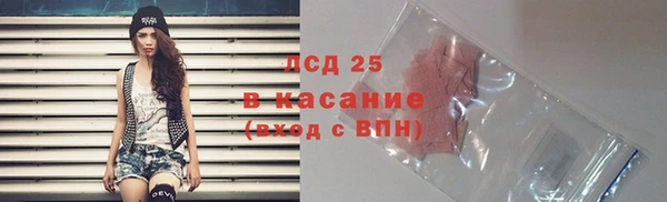 индика Семикаракорск