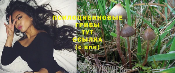 дмт Семёнов