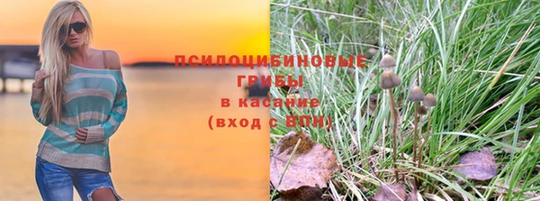 дмт Семёнов