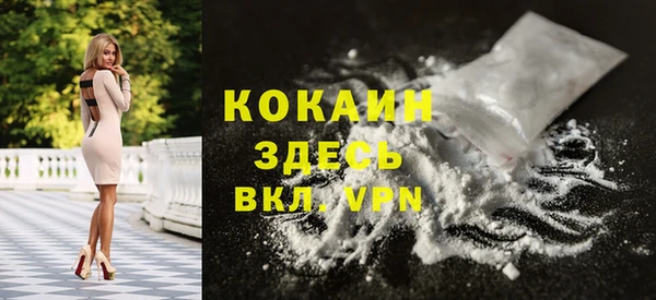 индика Семикаракорск