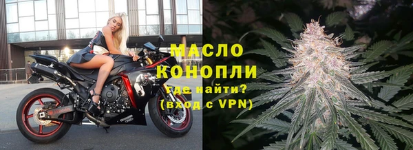 индика Семикаракорск
