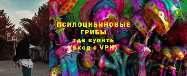 стафф Семилуки