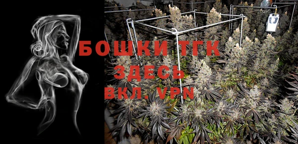 индика Семикаракорск